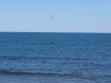 DSC05230