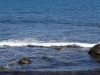 DSC05231