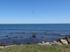 DSC05232