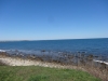 DSC05235