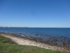 DSC05236