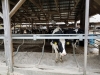 20171015_132445 (Copy)
